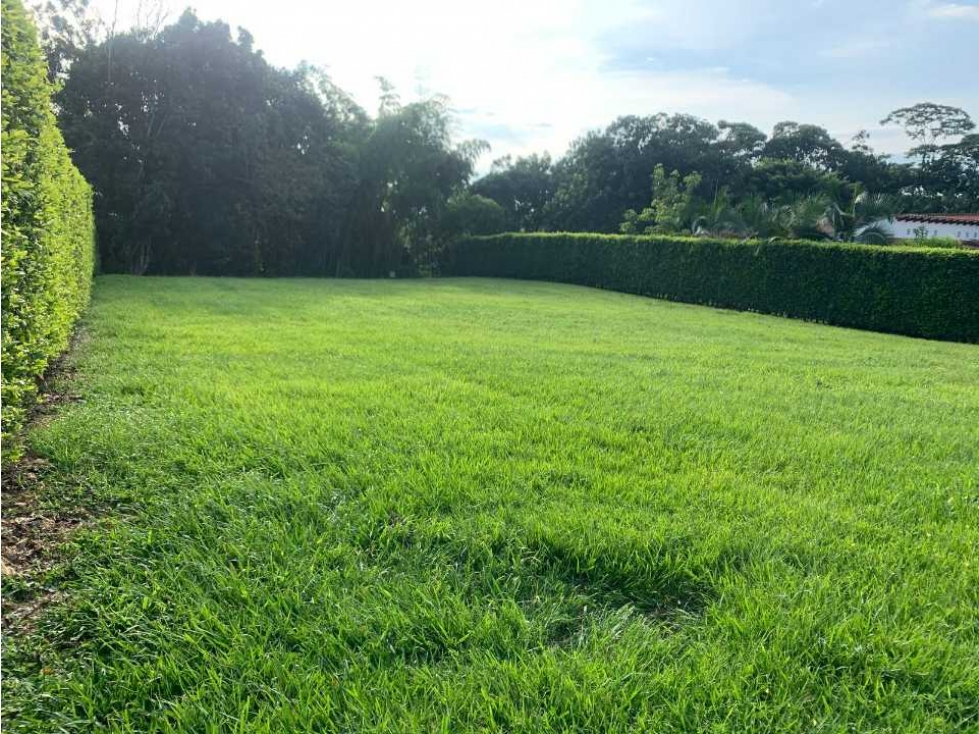 VENDO HERMOSO LOTE PLANO SECTOR EL TIGRE CERRITOS PEREIRA - 3