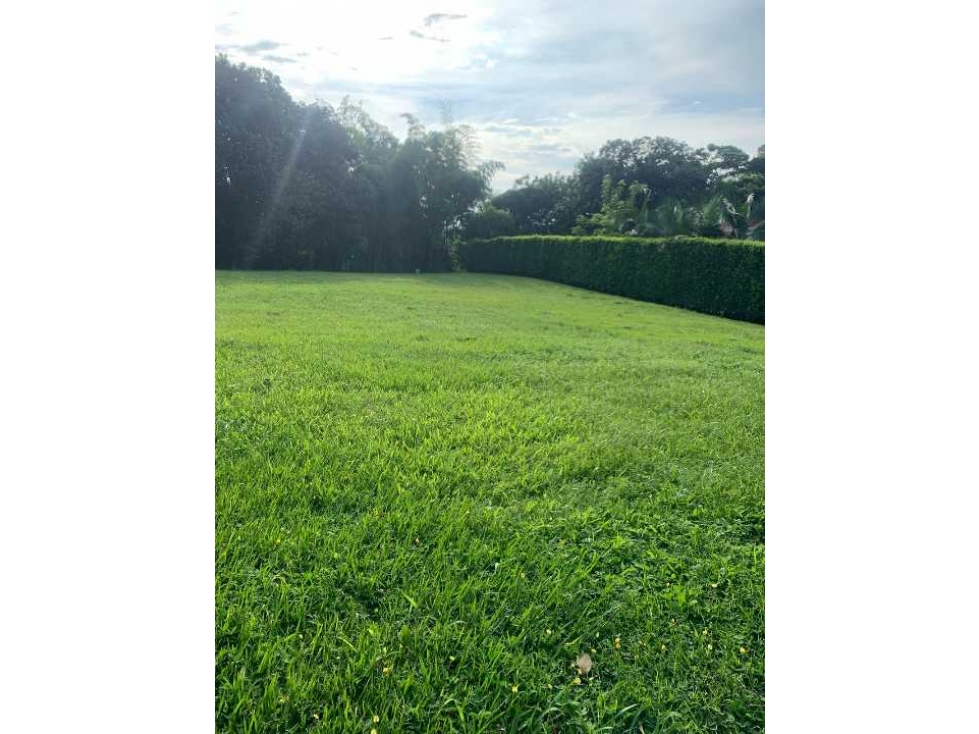 VENDO HERMOSO LOTE PLANO SECTOR EL TIGRE CERRITOS PEREIRA - 4