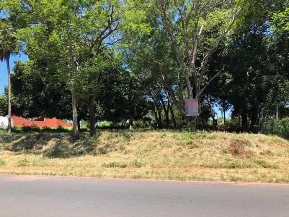 VENDO HERMOSO TERRENO SOBRE CALLE ASFALTADA - 1