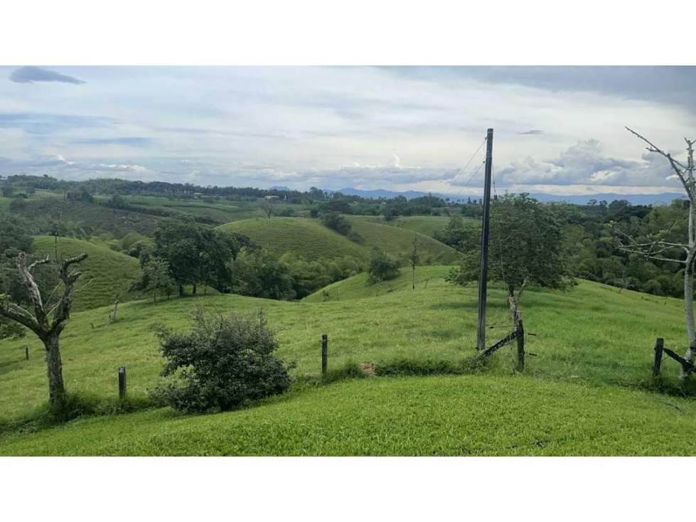 VENDO HERMOSOS LOTES A 10 MINUTOS DE MORELIA Y 15 MINUTOS DE CONDINA