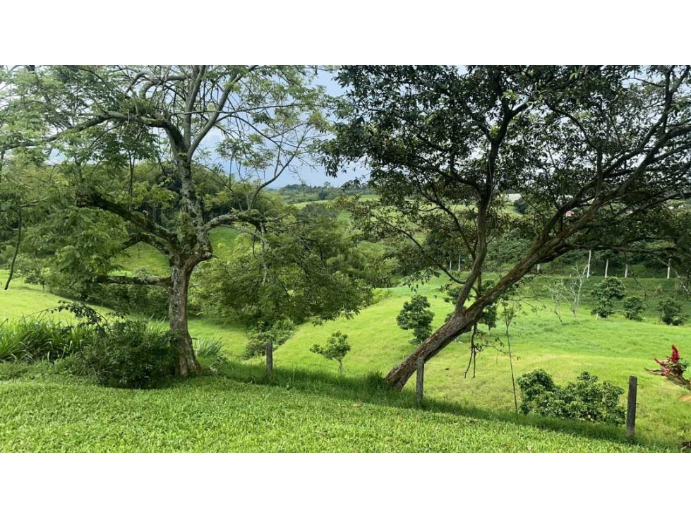 VENDO HERMOSOS LOTES A 10 MINUTOS DE MORELIA Y 15 MINUTOS DE CONDINA — foto 3