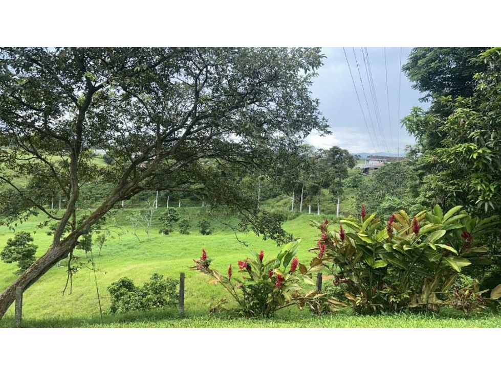 VENDO HERMOSOS LOTES A 10 MINUTOS DE MORELIA Y 15 MINUTOS DE CONDINA — foto 4