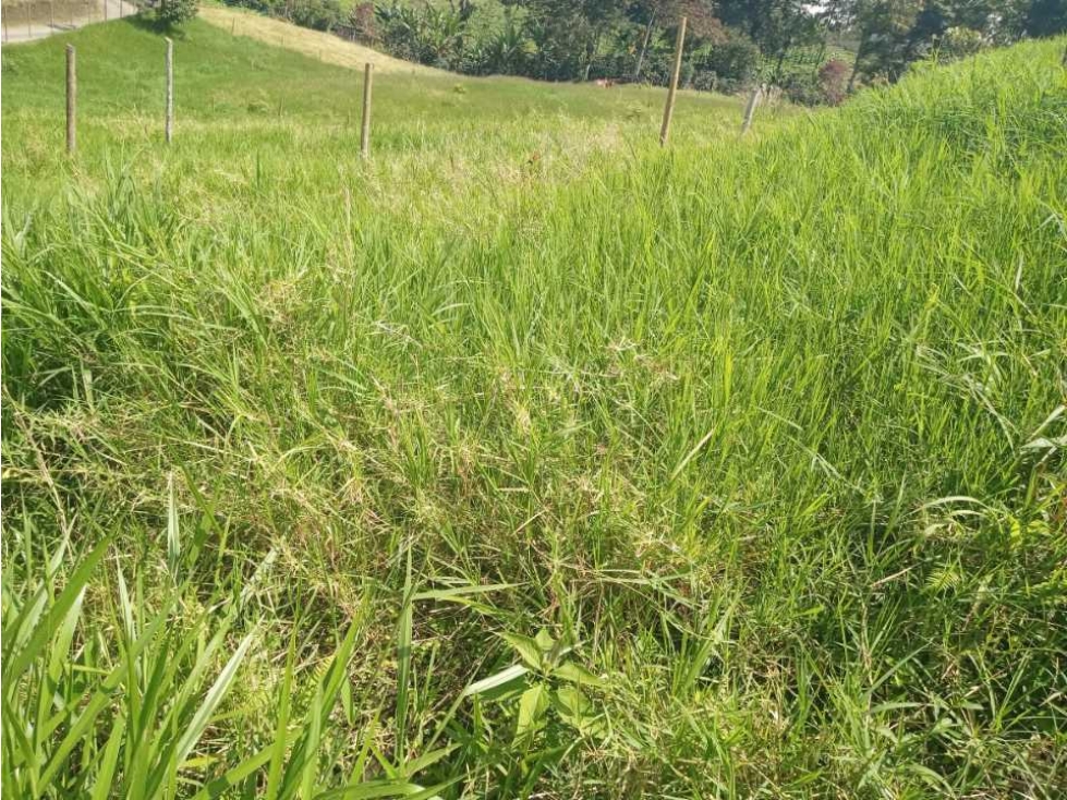 VENDO HERMOSOS LOTES CON MATRICULA DE ENERGIA Y AGUA — foto 2
