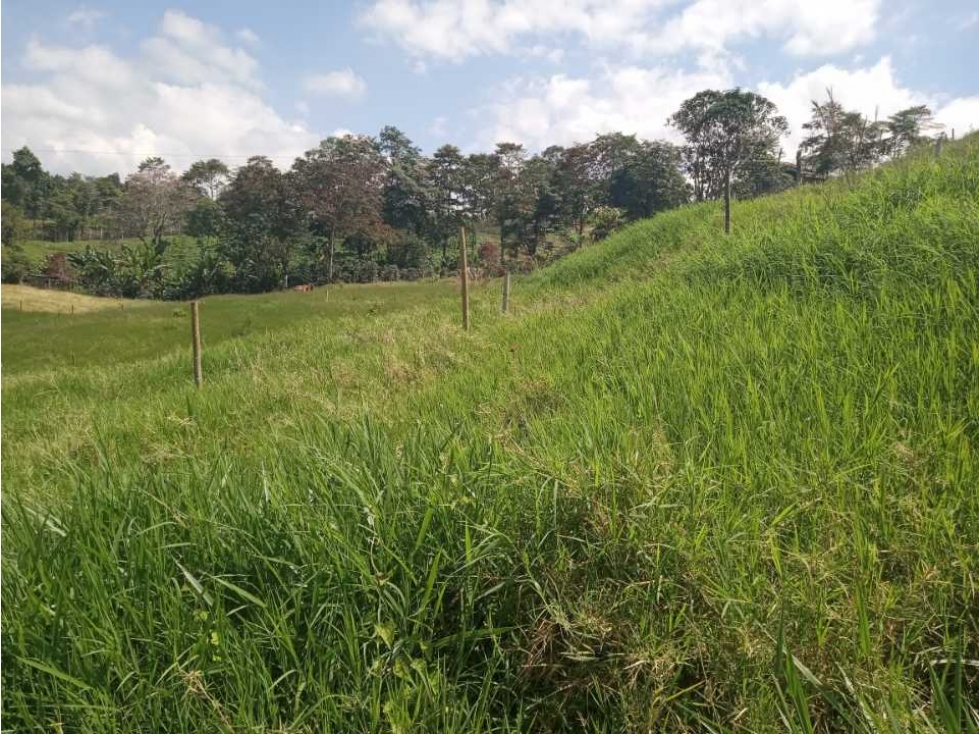 VENDO HERMOSOS LOTES CON MATRICULA DE ENERGIA Y AGUA — foto 3