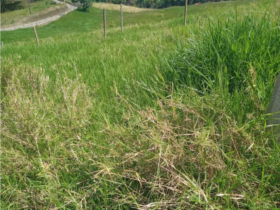 VENDO HERMOSOS LOTES CON MATRICULA DE ENERGIA Y AGUA — foto 4