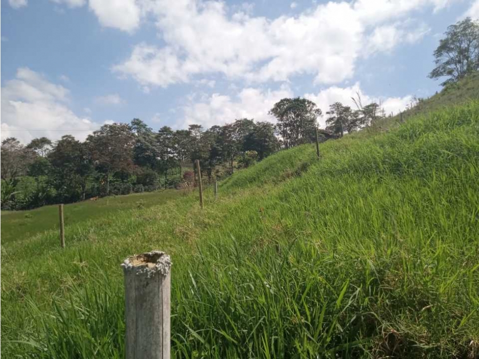 VENDO HERMOSOS LOTES CON MATRICULA DE ENERGIA Y AGUA — foto 5