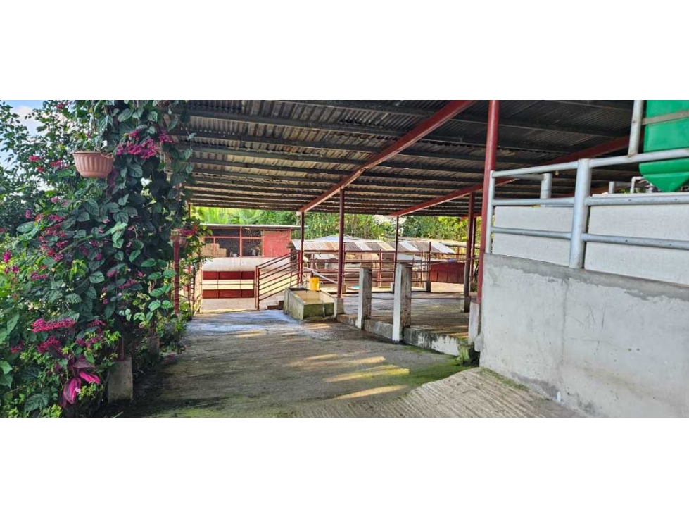VENDO LECHERIA DE 29 HAS - 2