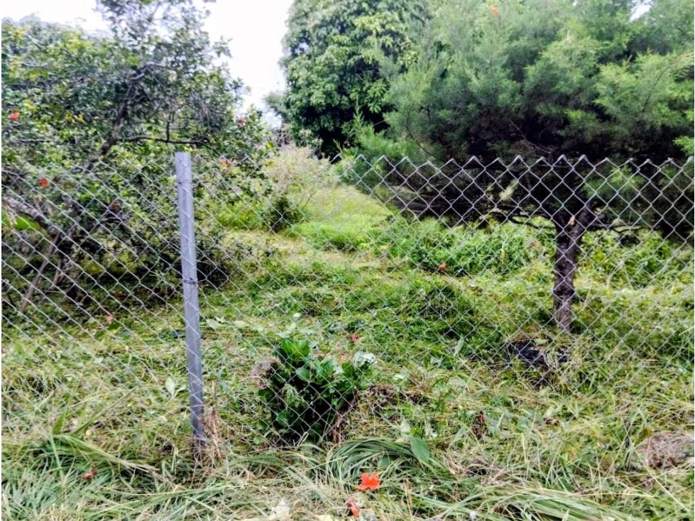 Vendo lindo terreno de 890 mtrs en Alto Boquete — foto 2