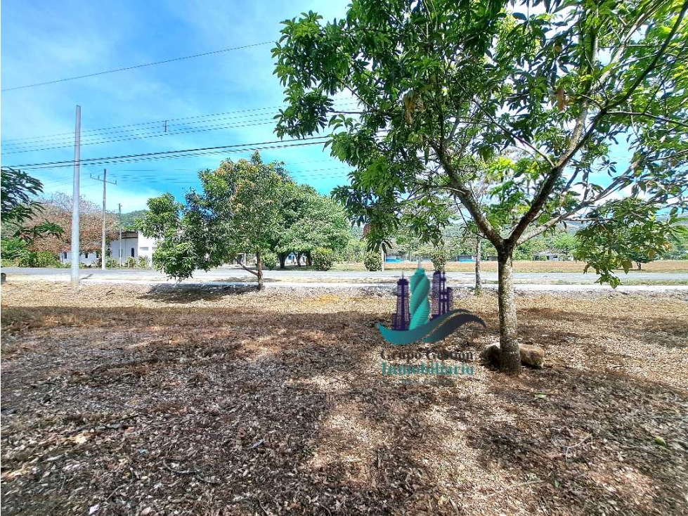 VENDO LOTE 1000MTS TITULADO VIA PRINCIPAL CALDERA