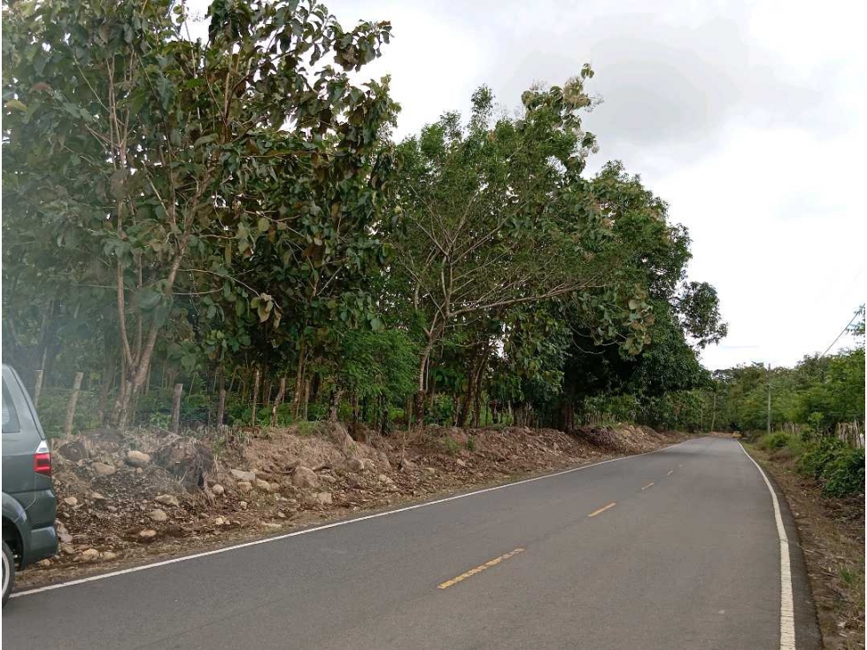 VENDO LOTE 11 HECTAREAS EN BAGALA CHIRIQUI - 4