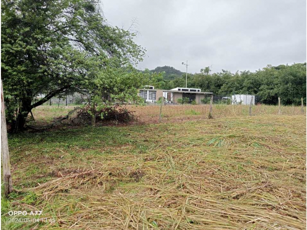 VENDO LOTE # 19 PLANO EN CONJUNTO SAN ANTONIO DE APULO - 5