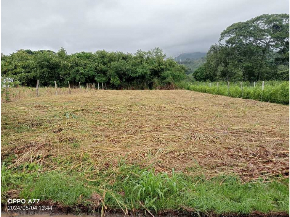 VENDO LOTE # 19 PLANO EN CONJUNTO SAN ANTONIO DE APULO - 6