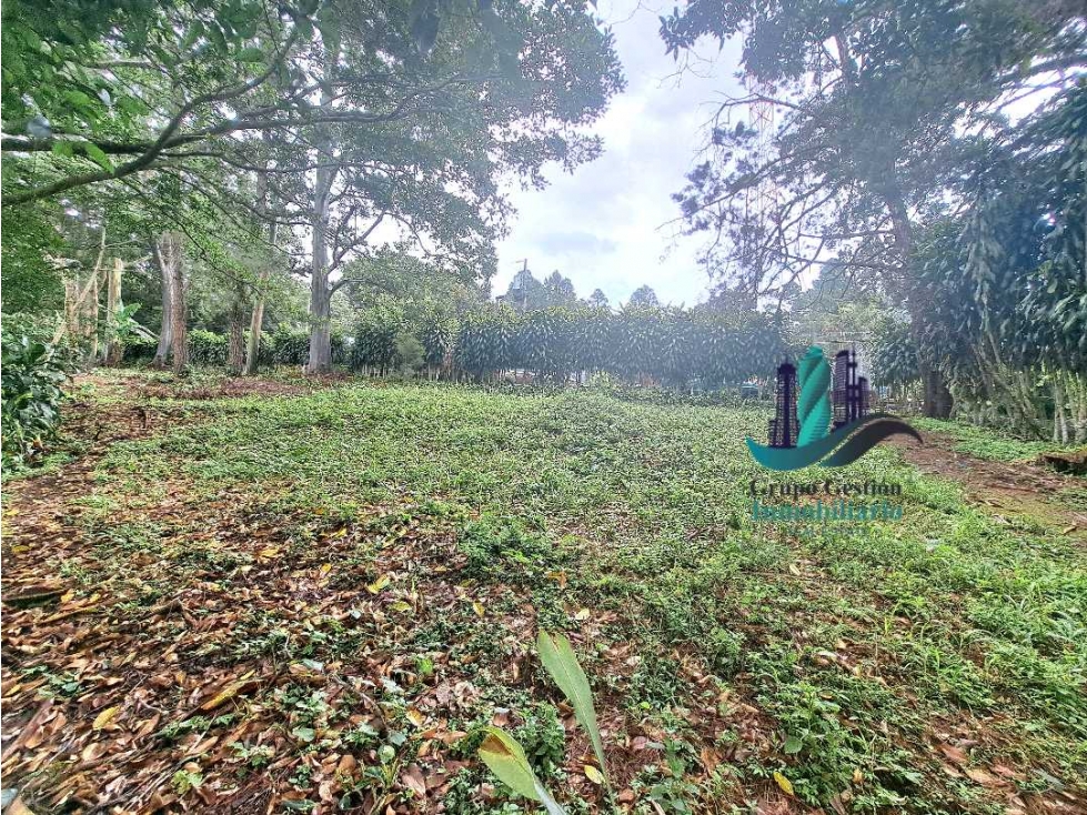 VENDO LOTE 2200MTS VOLCANCITO — foto 3