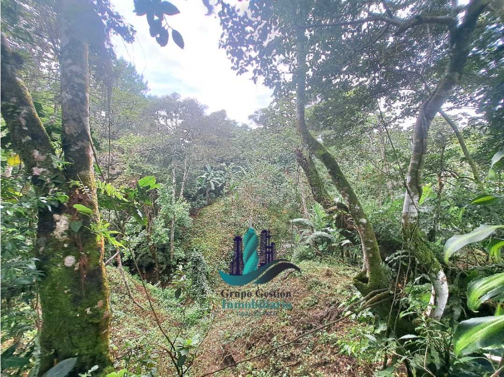 VENDO LOTE 2200MTS VOLCANCITO — foto 4