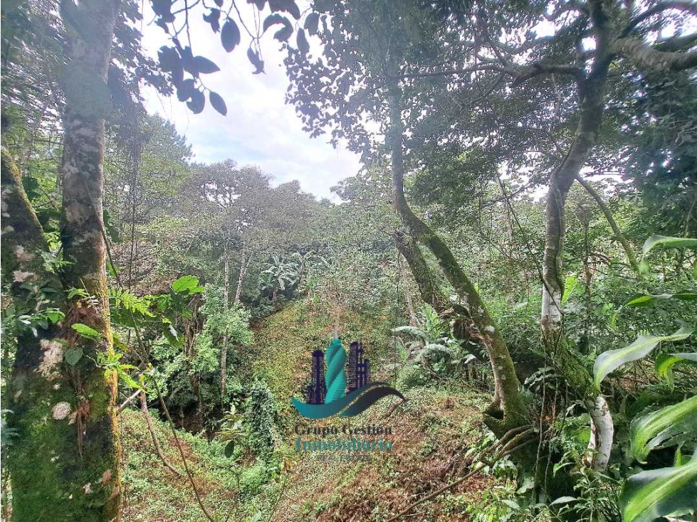 VENDO LOTE 2200MTS VOLCANCITO — foto 5