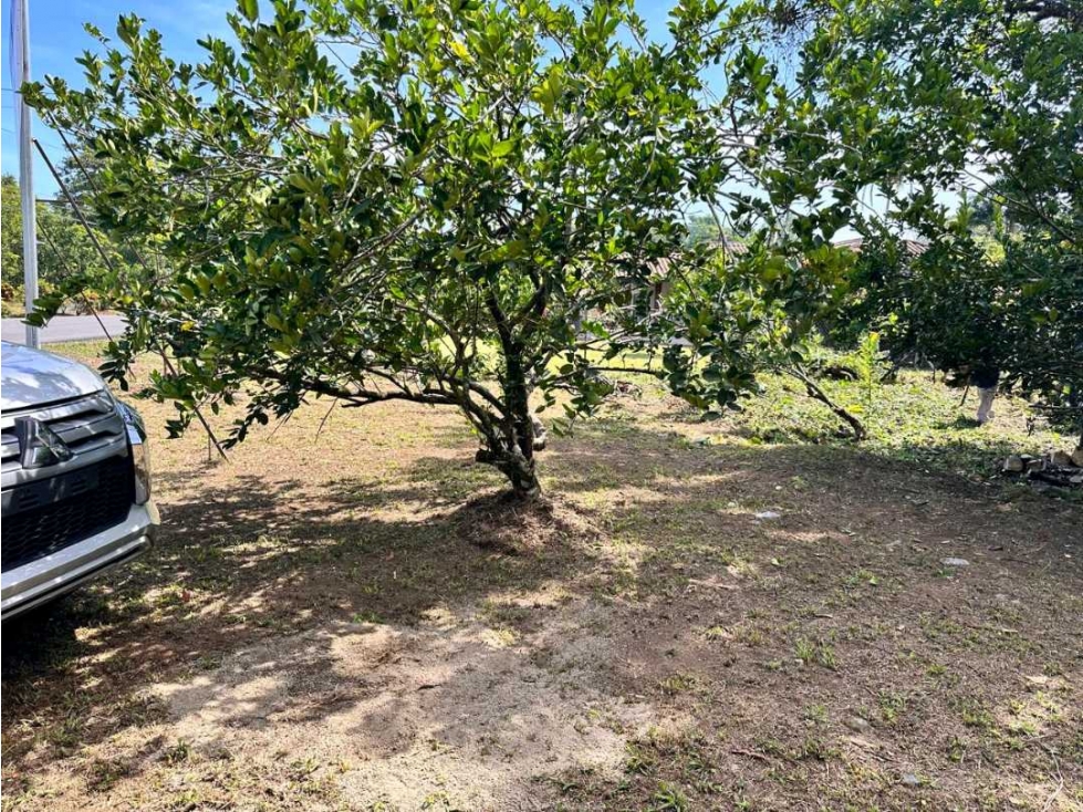 VENDO LOTE 379 EN GOMEZ - 4