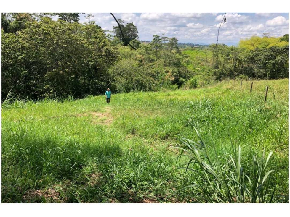 VENDO LOTE A BORDO DE CARRETERA VEREDA EL CHOCHO PEREIRA