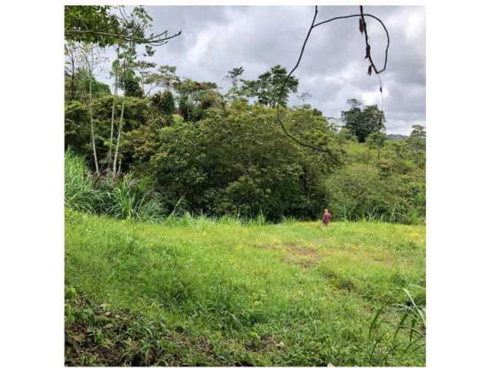 VENDO LOTE A BORDO DE CARRETERA VEREDA EL CHOCHO PEREIRA — foto 2