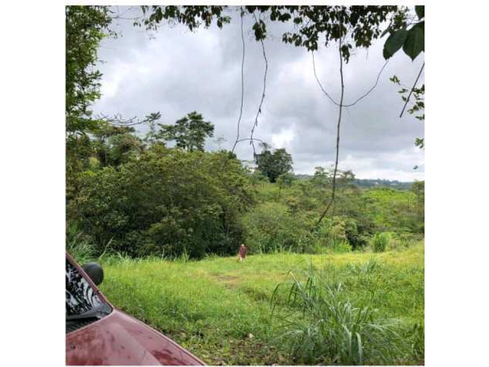 VENDO LOTE A BORDO DE CARRETERA VEREDA EL CHOCHO PEREIRA — foto 3