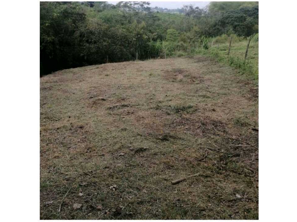 VENDO LOTE A BORDO DE CARRETERA VEREDA EL CHOCHO PEREIRA — foto 4