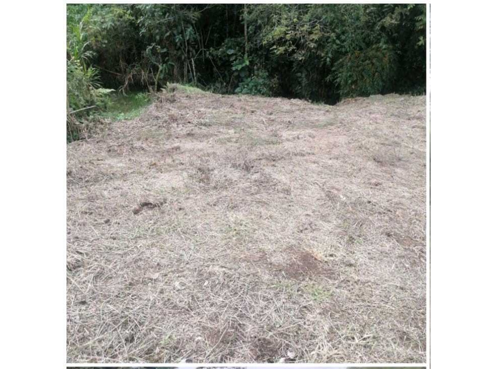 VENDO LOTE A BORDO DE CARRETERA VEREDA EL CHOCHO PEREIRA — foto 5