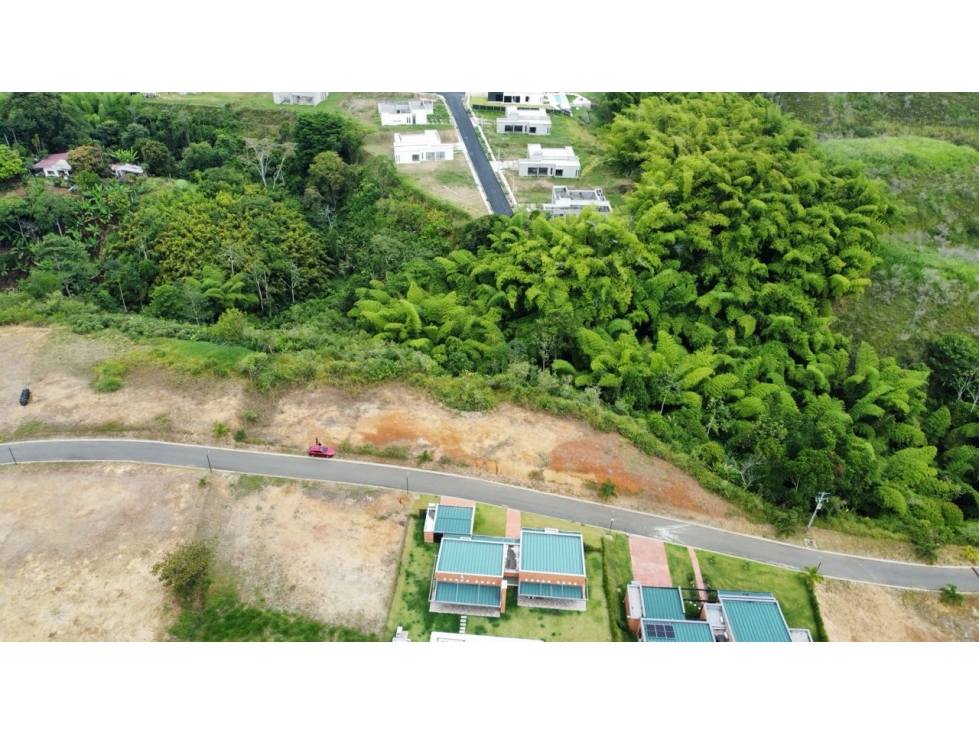 VENDO LOTE CAMPESTRE EN CERRITOS PEREIRA — foto 2