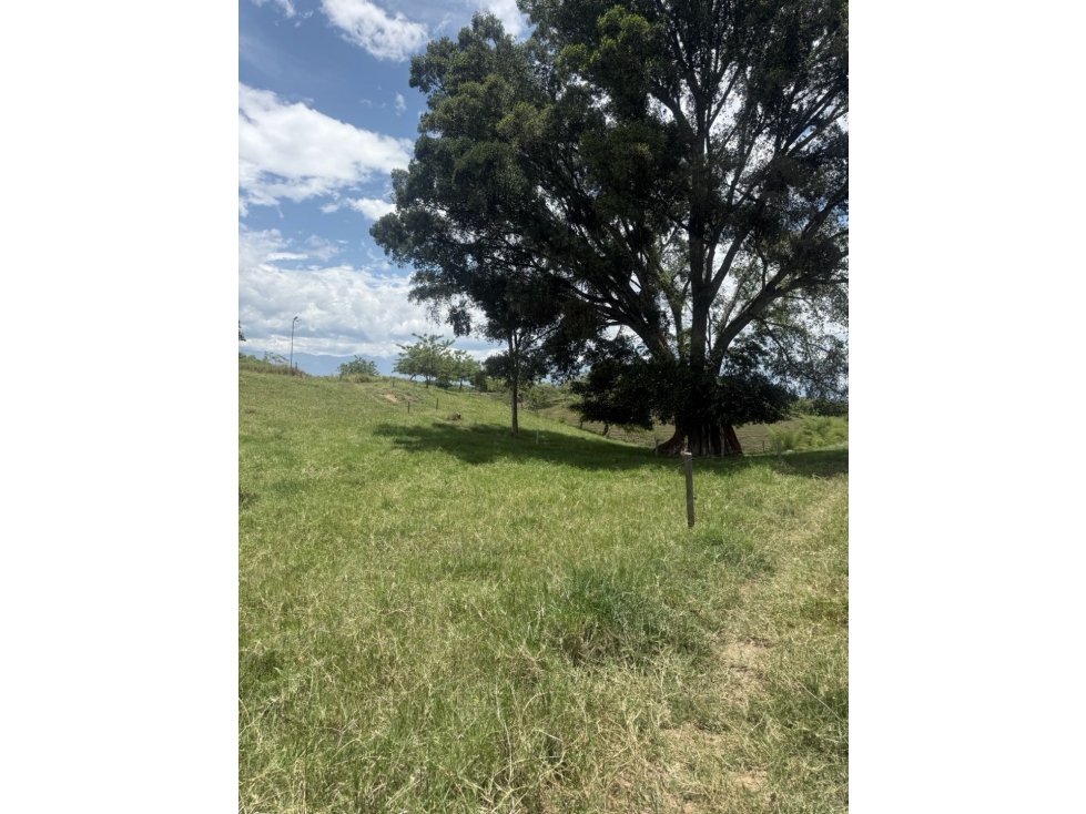 VENDO LOTE CAMPESTRE EN QUIMBAYA - 1