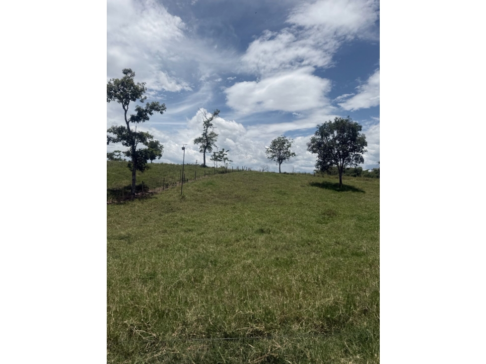 VENDO LOTE CAMPESTRE EN QUIMBAYA - 2