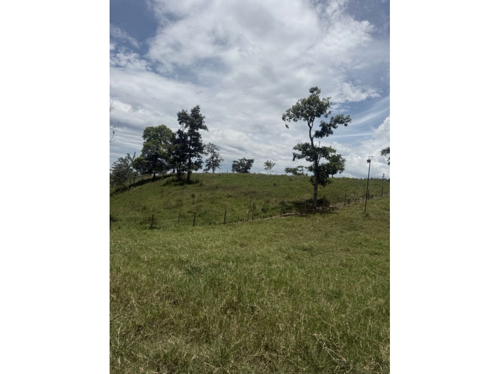 VENDO LOTE CAMPESTRE EN QUIMBAYA - 3