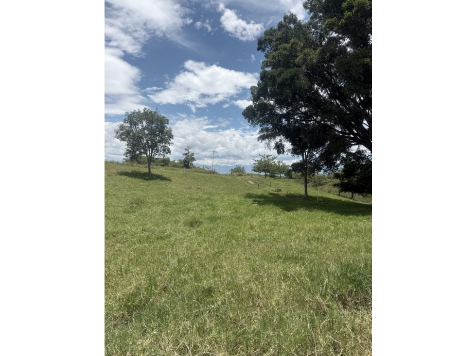 VENDO LOTE CAMPESTRE EN QUIMBAYA - 4