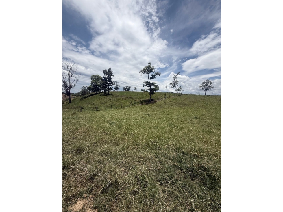 VENDO LOTE CAMPESTRE EN QUIMBAYA - 5