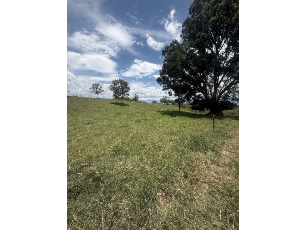 VENDO LOTE CAMPESTRE EN QUIMBAYA - 6