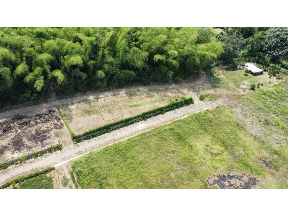VENDO LOTE CAMPESTRE EN VITERBO CALDAS - 1