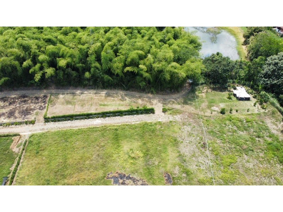 VENDO LOTE CAMPESTRE EN VITERBO CALDAS - 2