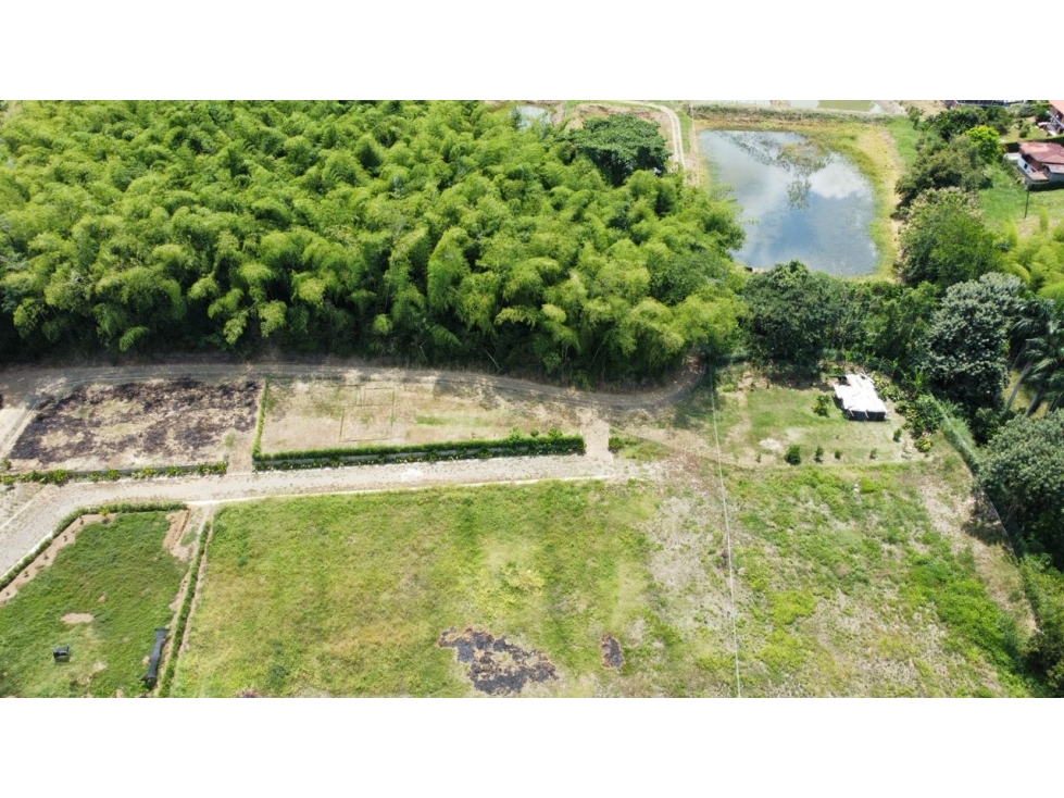 VENDO LOTE CAMPESTRE EN VITERBO CALDAS - 3