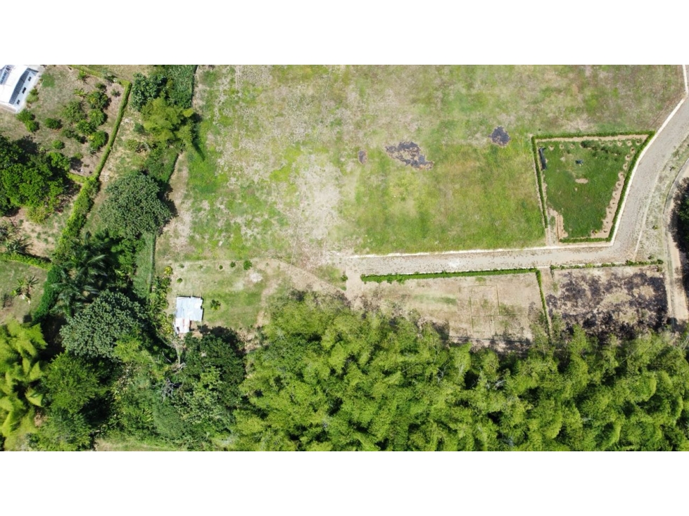 VENDO LOTE CAMPESTRE EN VITERBO CALDAS - 4