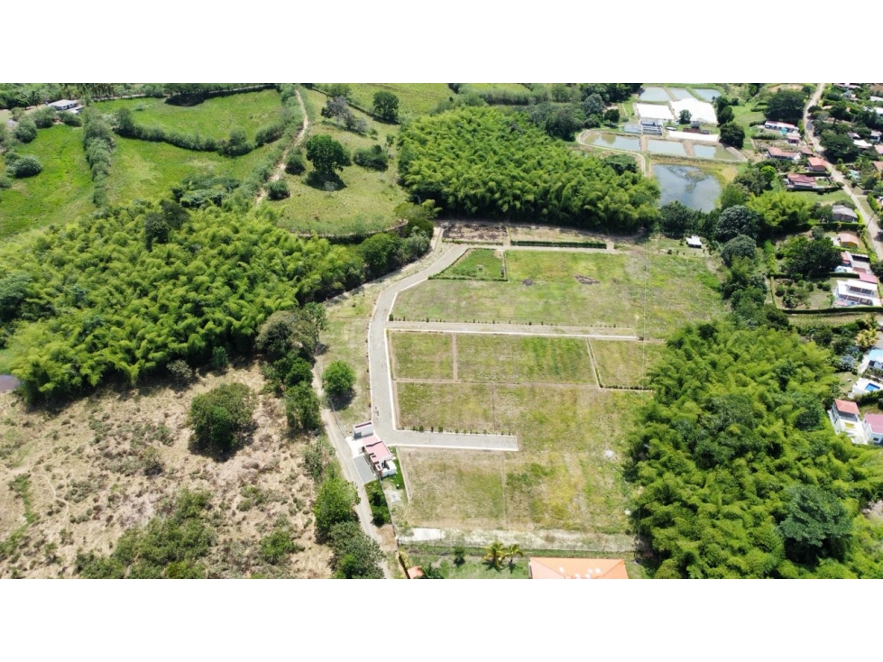 VENDO LOTE CAMPESTRE EN VITERBO CALDAS - 6
