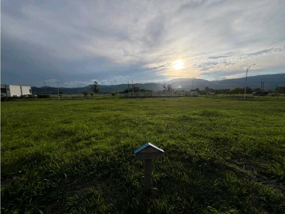 VENDO LOTE CAMPESTRE VIA VITERBO- LA VIRGINIA CERCA AL PEAJE ACAPULCO - 2