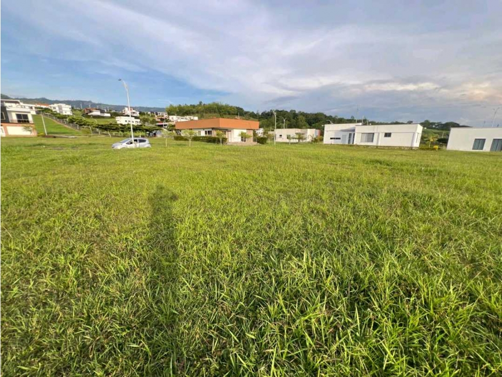 VENDO LOTE CAMPESTRE VIA VITERBO- LA VIRGINIA CERCA AL PEAJE ACAPULCO - 6
