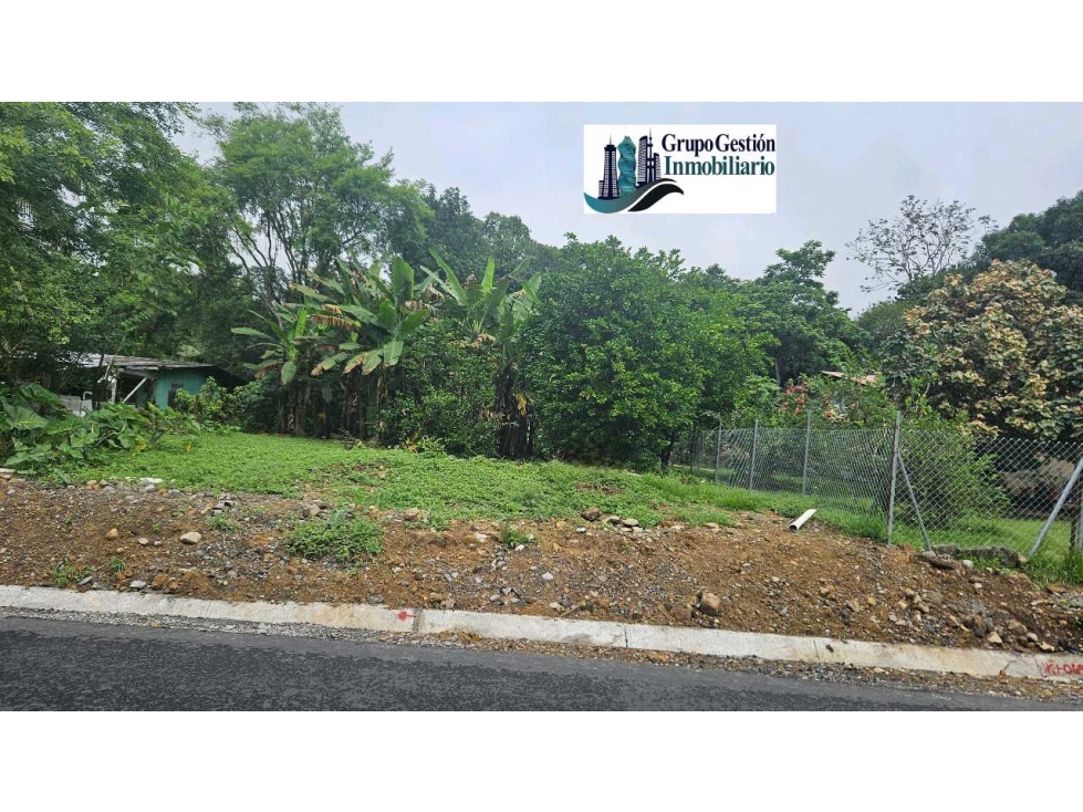 VENDO LOTE CHIRIQUI 742.45 M2 - 2