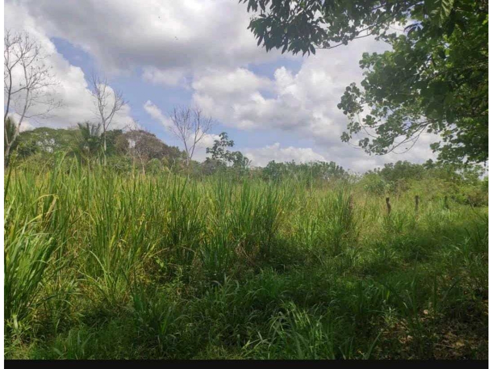 VENDO LOTE CHIRIQUI 742.45 M2 - 3
