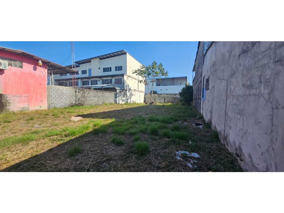 VENDO LOTE COMERCIAL CENTRO DAVID - 2