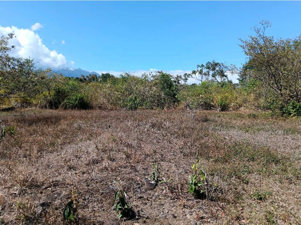 VENDO LOTE COMERCIAL DE 4800MTS BQT