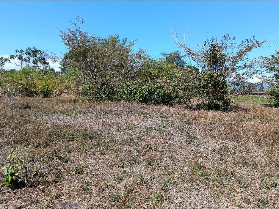 VENDO LOTE COMERCIAL DE 4800MTS BQT — foto 2