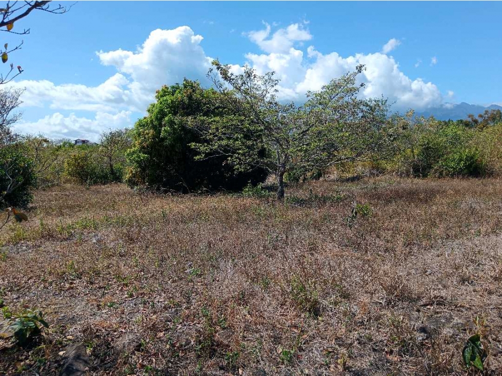 VENDO LOTE COMERCIAL DE 4800MTS BQT — foto 4
