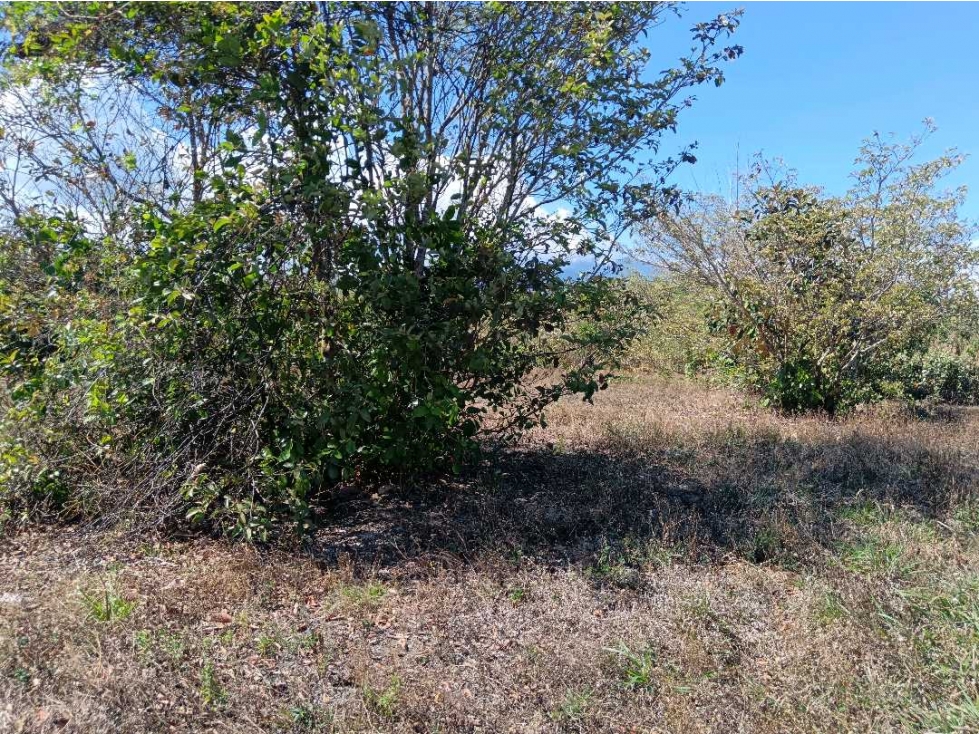 VENDO LOTE COMERCIAL DE 4800MTS BQT — foto 5