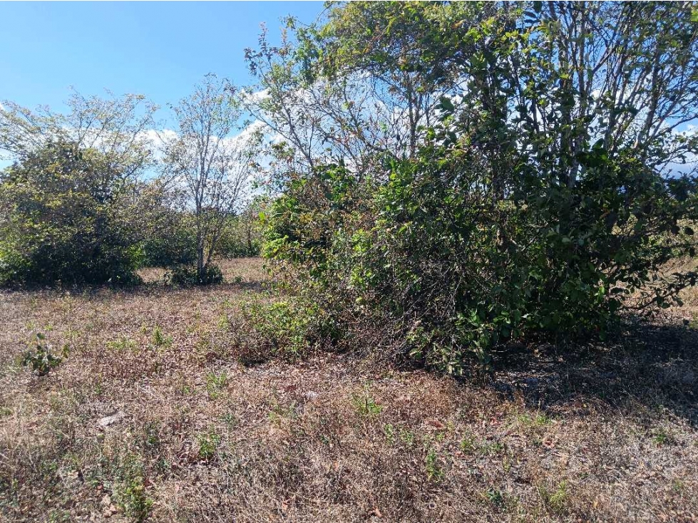 VENDO LOTE COMERCIAL DE 4800MTS BQT — foto 6