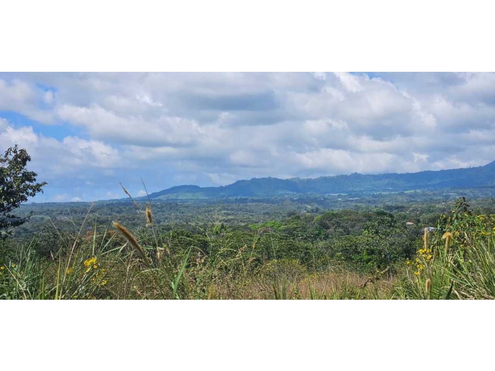 VENDO LOTE COMERCIAL EN BQOUETE - 2