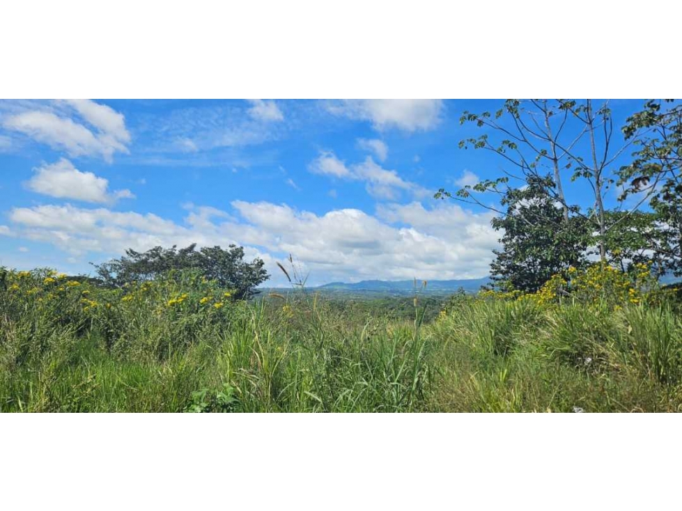 VENDO LOTE COMERCIAL EN BQOUETE - 3