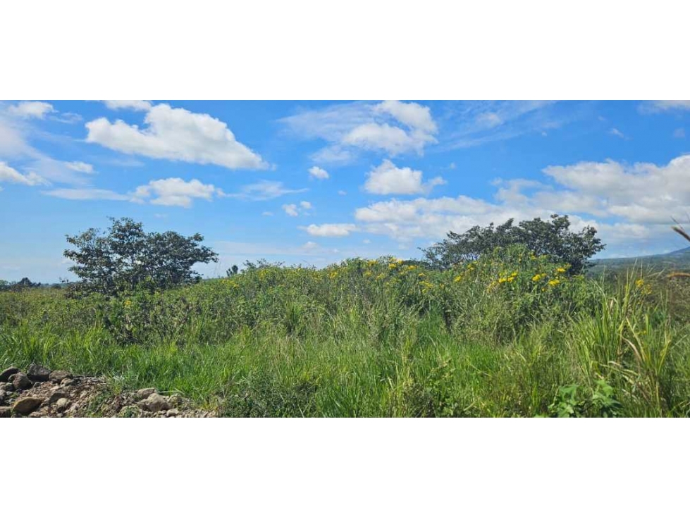 VENDO LOTE COMERCIAL EN BQOUETE - 4